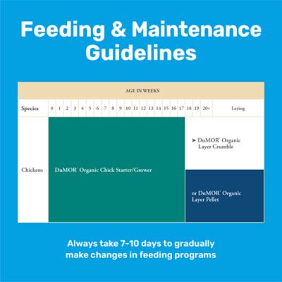 Image showing  Organic 16% Egg Layer Crumbled Chicken Feed