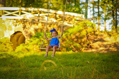 Image showing  Classic Tree Swing, 250 lb. Capacity