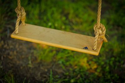 Image showing  Classic Tree Swing, 250 lb. Capacity