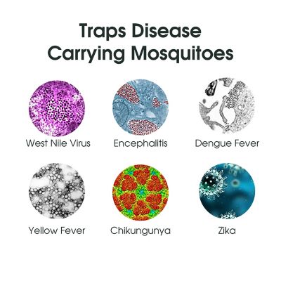 Image showing  Executive Mosquito Trap