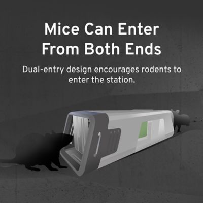 Image showing  Fast-Kill Brand Refillable Mouse Poison Bait Station, 10-Pack
