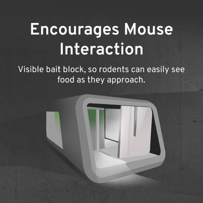 Image showing  Fast-Kill Brand Refillable Mouse Poison Bait Station, 10-Pack