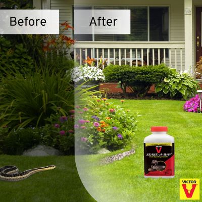 Image showing  1.75 lb. Snake-A-Way Granular Snake Repellent