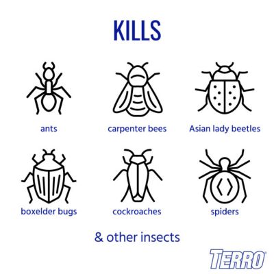 Image showing  19 oz. Outdoor Ant Killer Spray, 2-Pack