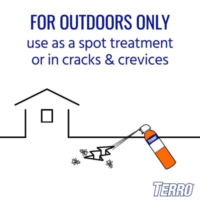 Image showing  19 oz. Outdoor Ant Killer Spray, 2-Pack