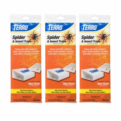 TERRO Spider and Insect Traps, 12-Pack