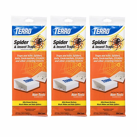 TERRO Spider and Insect Traps, 12-Pack