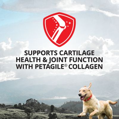 Image showing  Hip and Joint Liquid Supplement for Dogs and Cats, 32 oz.