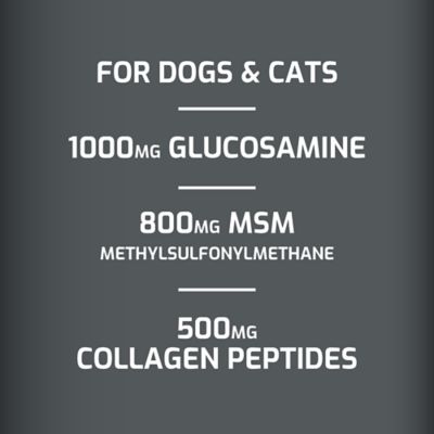 Image showing  Hip and Joint Liquid Supplement for Dogs and Cats, 32 oz.