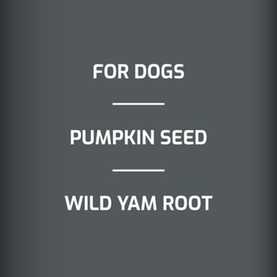 Image showing  Bladder Support with Cranberry Soft Chewable Supplement for Dogs, 0.4 lb.