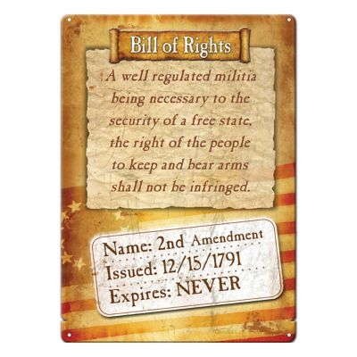 River's Edge Products 12 in. x 17 in. Bill of Rights Tin Sign