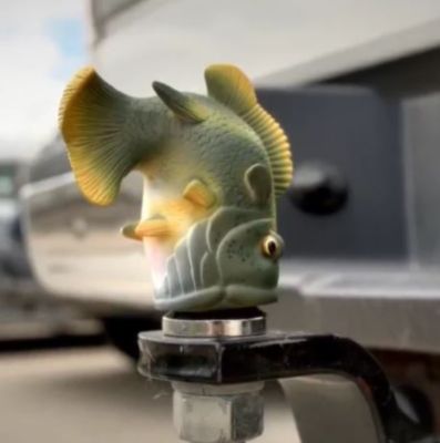 Image showing  Cover Bass Trailer Ball