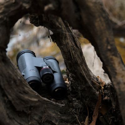 Image showing  10x 42mm Phenom Extra Low Dispersion (ED) Binoculars, Roof Prism