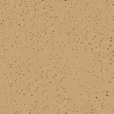 Image showing  180 oz. Tan RockSolid Polycuramine Garage Floor Coating Kit, High Gloss