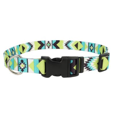 Retriever Adjustable Aztec Dog Collar, Teal/Lime