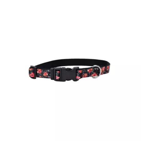 Adjustable Dog Collar with Orange Pink Flower Ribbon Retriever Dog Basic Collars