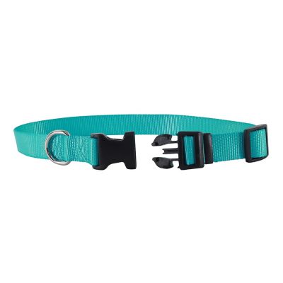 Image showing  Solid Color Adjustable Dog Collar with Plastic Buckle