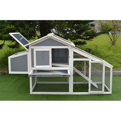 Image showing  Modern Polycarbonate Chicken Coop with Attached Run and Metal Pull-Out Tray