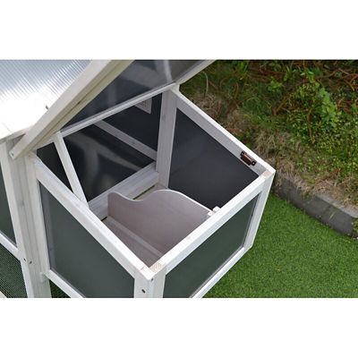 Image showing  Modern Polycarbonate Chicken Coop with Attached Run and Metal Pull-Out Tray
