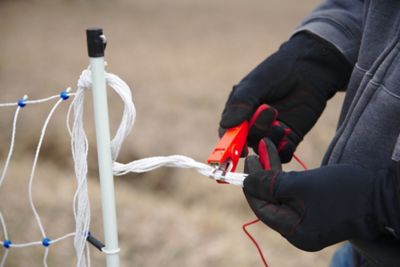 Image showing 6 th Starkline 82 ft. x 48 in. Electric Poultry Netting, Blue/White