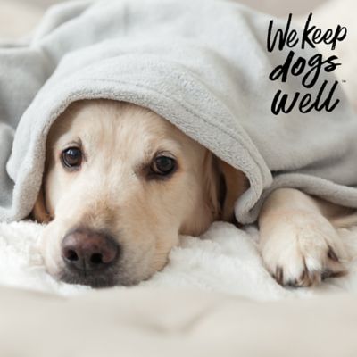 Image showing 5 th Remedy+Recovery Liquid Dewormer for Removal of Roundworms for Dogs and Cats, 8 oz.