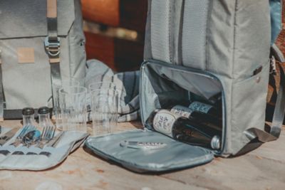 Image showing  4-Can PT-Frontier Picnic Backpack