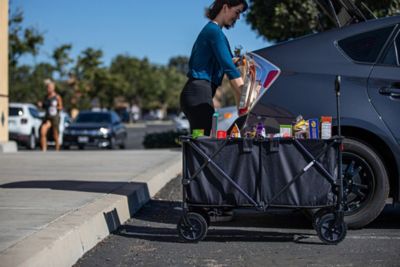 Image showing  110 lb. Capacity Adventure Wagon XL Folding Beach Utility Wagon