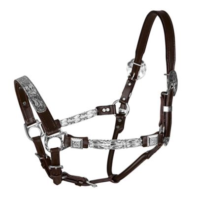 TuffRider Western Deluxe Show Horse Halter with Silver Hardware at Tractor  Supply Co.