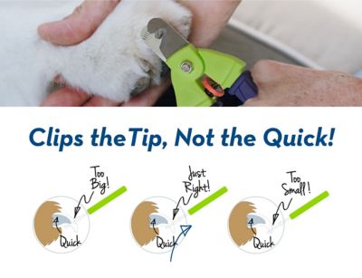 Image showing 6 th Zen Clipper Precise Adjustable Dog Nail Clipper with Stainless Steel Blades
