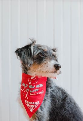 Image showing  Cooling Collar and Polyester Dog Bowl