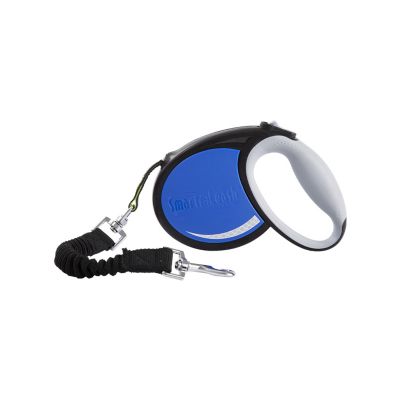 Image showing  Autolock Retractable Dog Leash