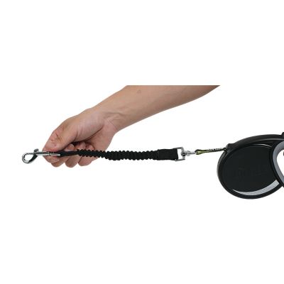 Image showing  Autolock Retractable Dog Leash