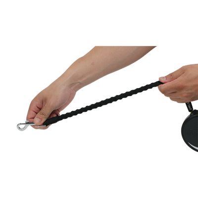 Image showing  Autolock Retractable Dog Leash