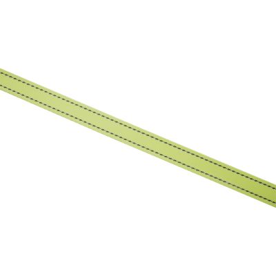 Image showing  Autolock Retractable Dog Leash