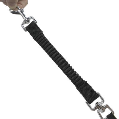 Image showing  Autolock Retractable Dog Leash