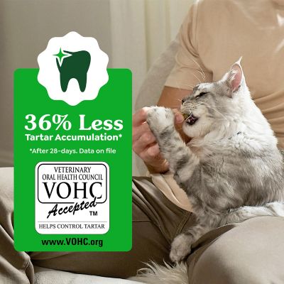 Image showing 6 th Greenies Chicken Flavor Natural Dental Care Adult Cat Treats, 9.75 oz.