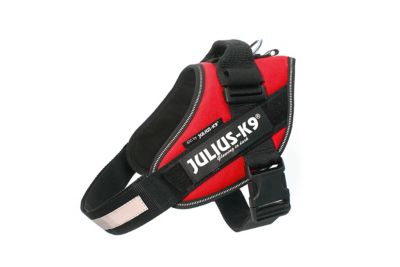 Image showing  Easy-On IDC Reflective Power Dog Harness
