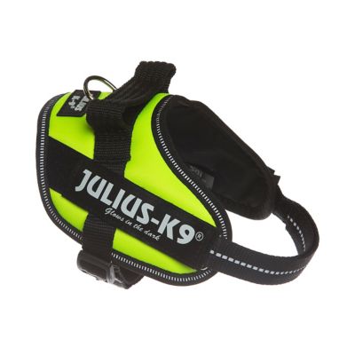 Image showing  Easy-On IDC Reflective Power Dog Harness