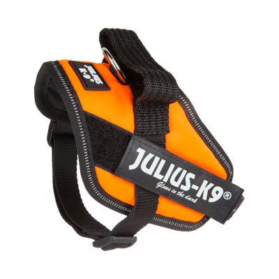 Image showing 1 th Julius-K9 Easy-On IDC Reflective Power Dog Harness