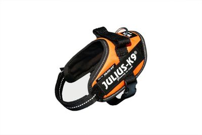 Image showing 2 th Julius-K9 Easy-On IDC Reflective Power Dog Harness