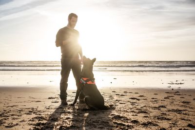 Image showing 4 th Julius-K9 Easy-On IDC Reflective Power Dog Harness