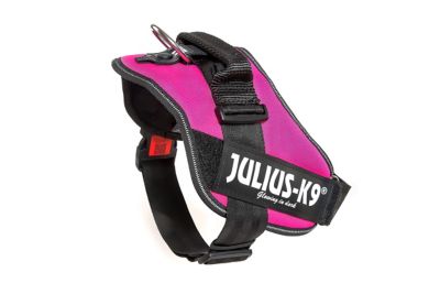 Image showing  Easy-On IDC Reflective Power Dog Harness