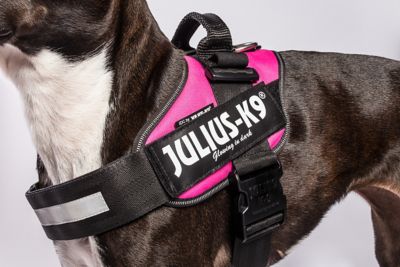 Image showing  Easy-On IDC Reflective Power Dog Harness