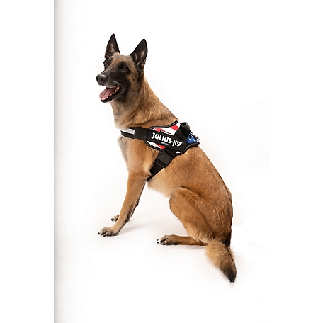 Julius-K9 Easy-On IDC Hook Loop Patch Reflective Power Dog Harness
