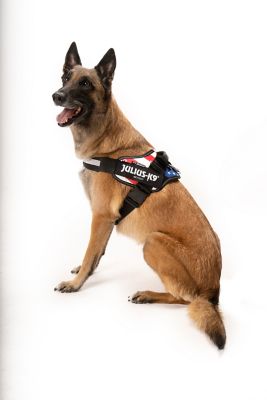 Image showing  Easy-On IDC Hook-and-Loop Patch Reflective Power Dog Harness