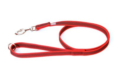 Image showing  Super Grip Nylon Dog Leash with Handle