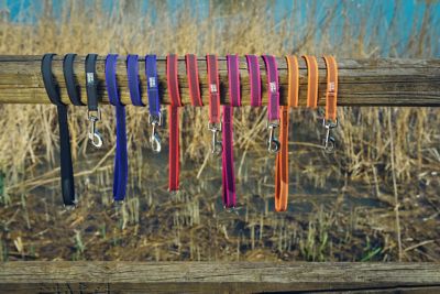 Image showing  Super Grip Nylon Dog Leash with Handle