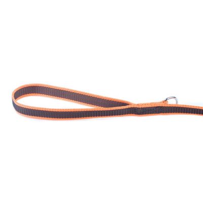 Image showing  Super Grip Nylon Dog Leash with Handle