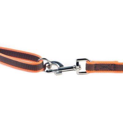 Image showing  Super Grip Nylon Dog Leash with Handle