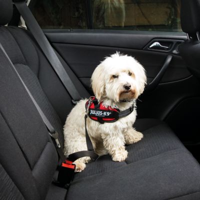 Image showing  Seat Belt Adapter for Dogs, Black